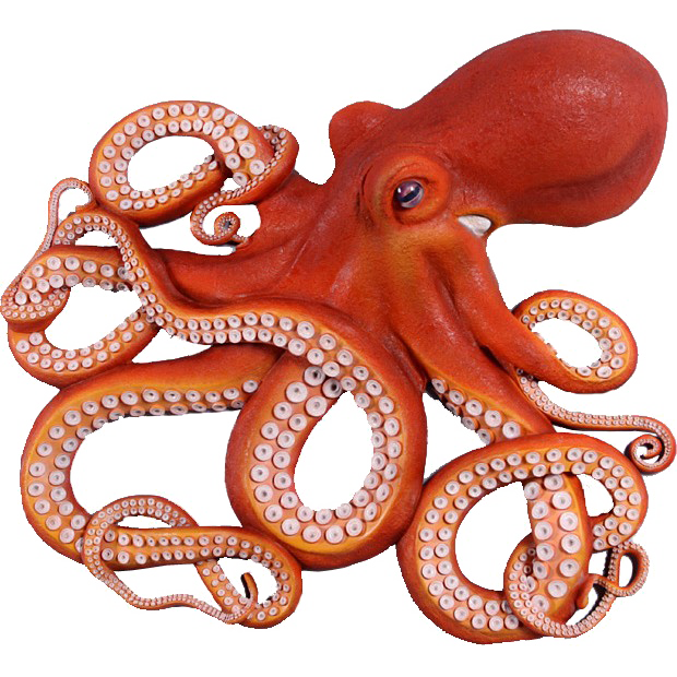 Octopus Free Download PNG HQ PNG Image