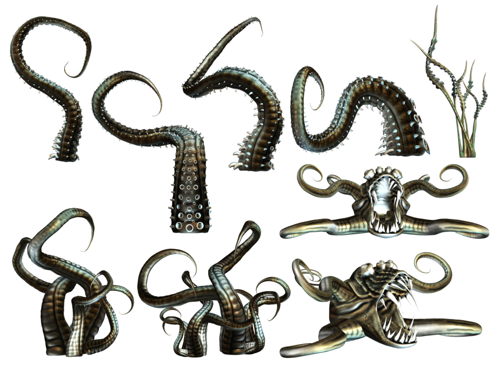 Octopus Tentacles HQ Image Free PNG PNG Image