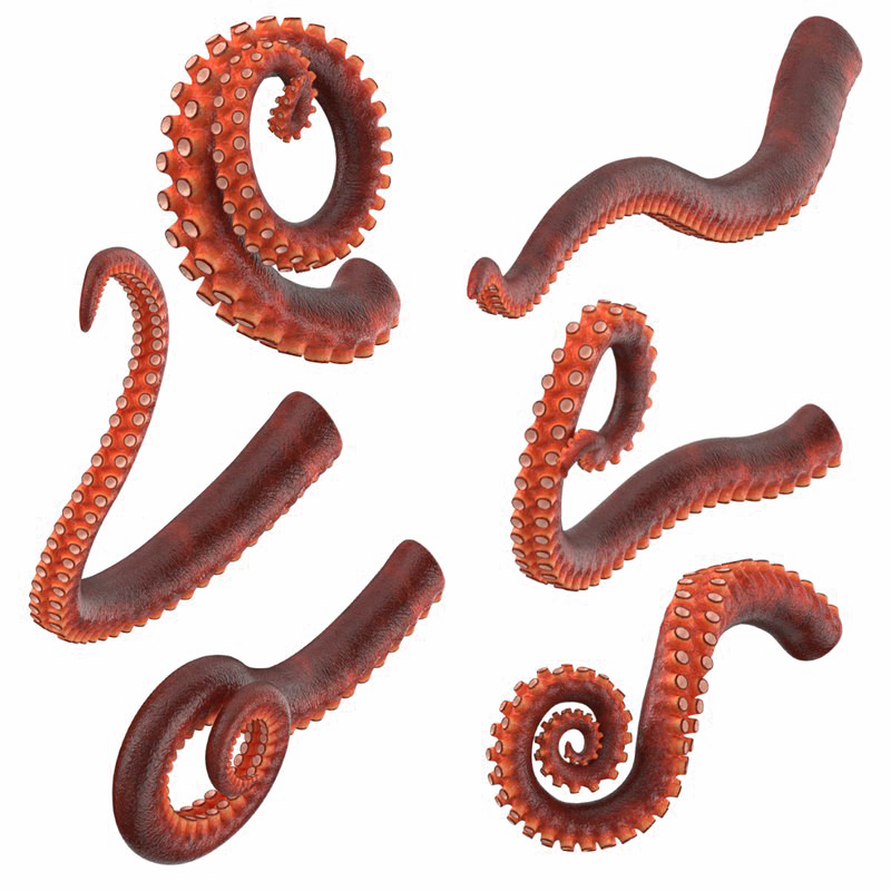 Octopus Tentacles HQ Image Free PNG PNG Image