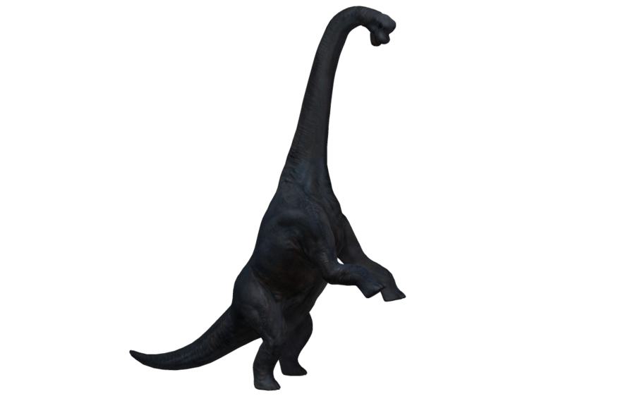 Brachiosaurus HD Free Clipart HQ PNG Image