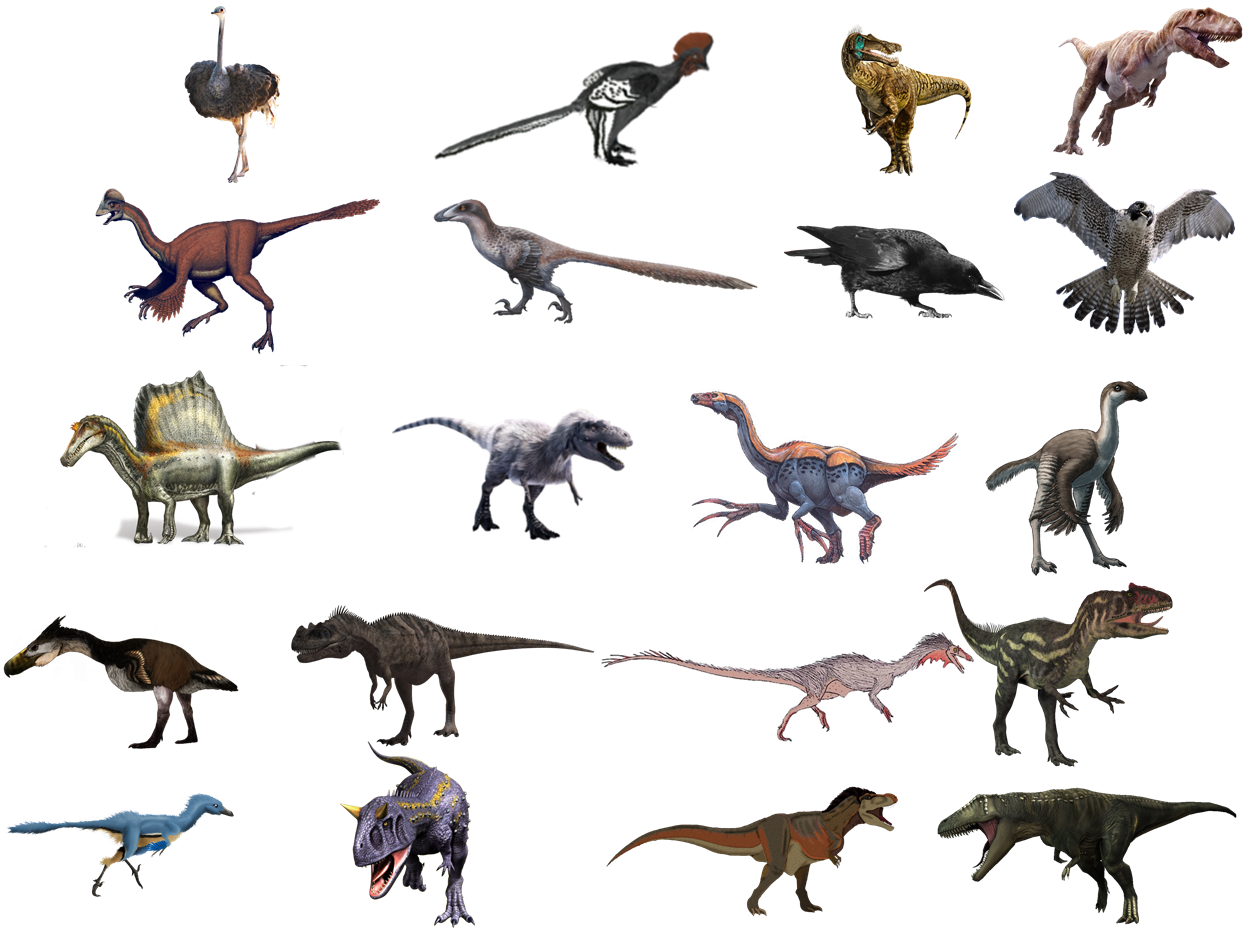 Theropod Free Transparent Image HD PNG Image