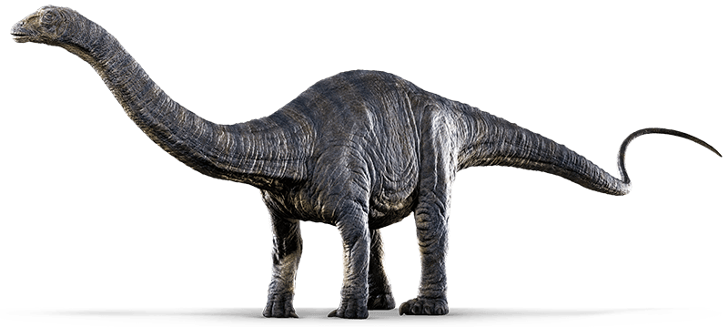 Sauropod Photos HD Image Free PNG PNG Image