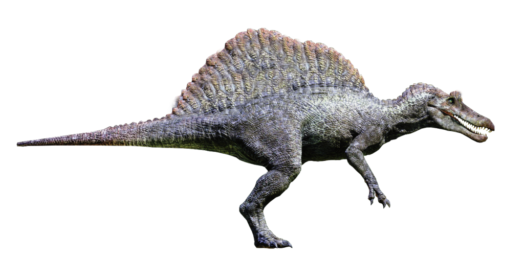Spinosaurus Download Free Image PNG Image