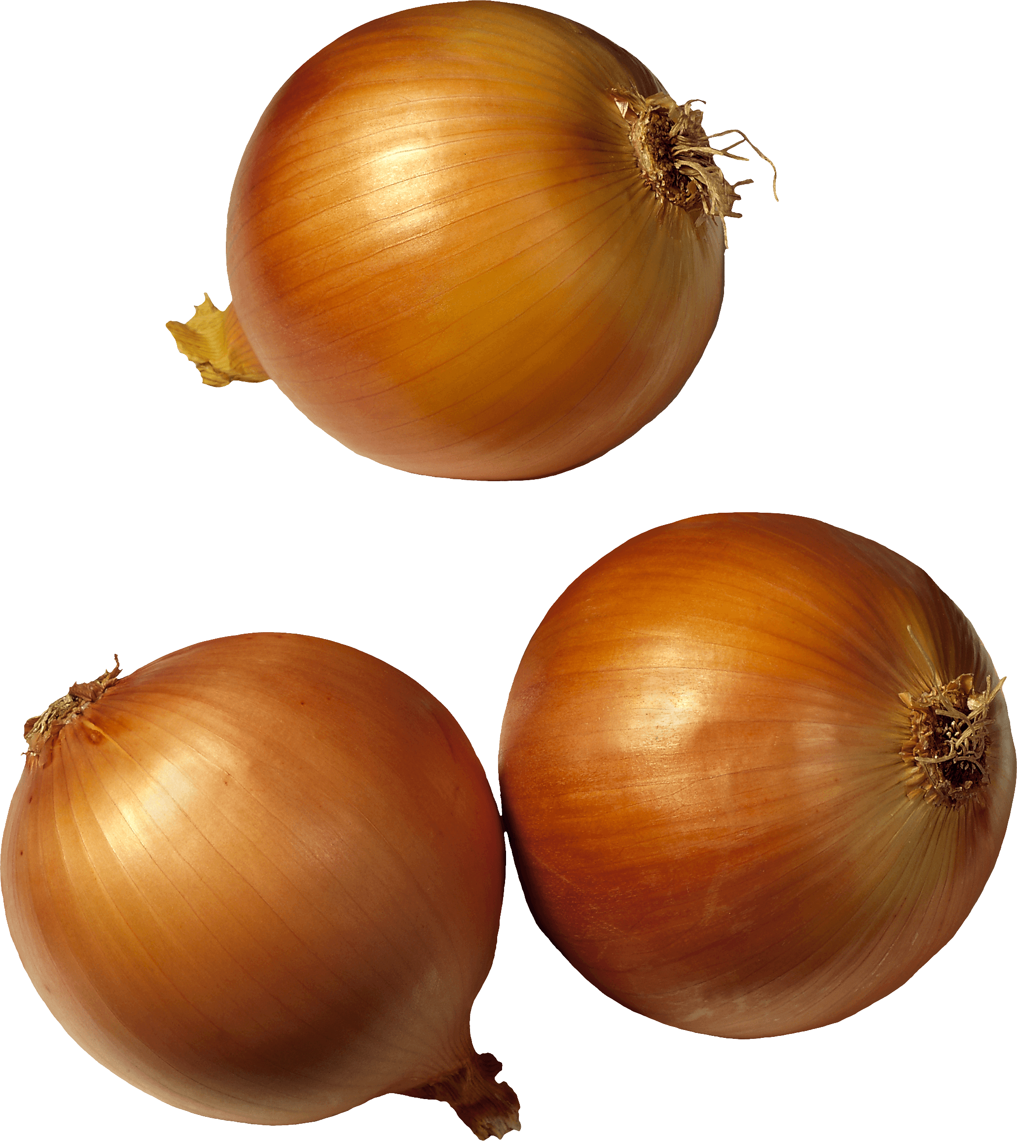 Onion Png Image PNG Image