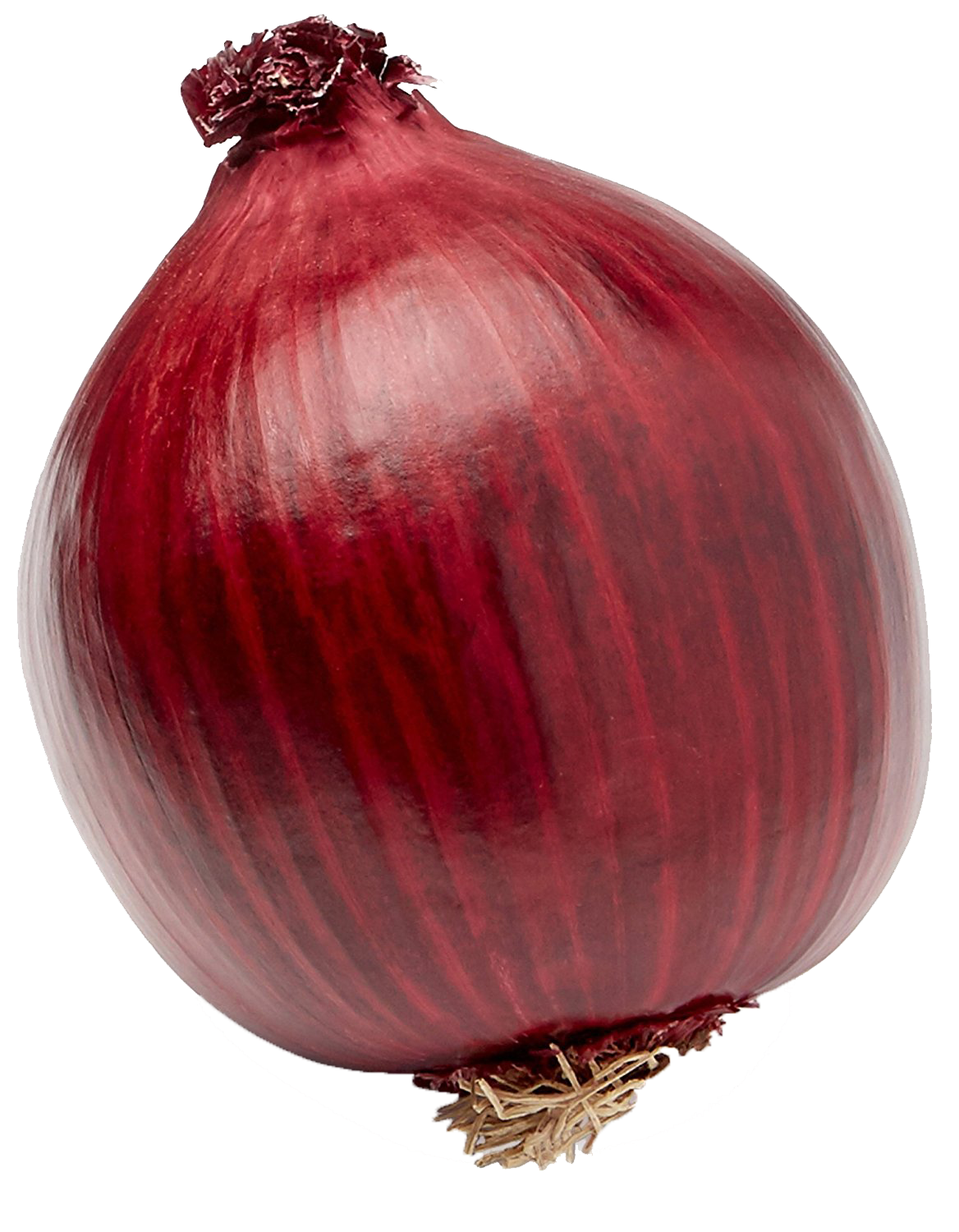 Fresh Onion PNG File HD PNG Image