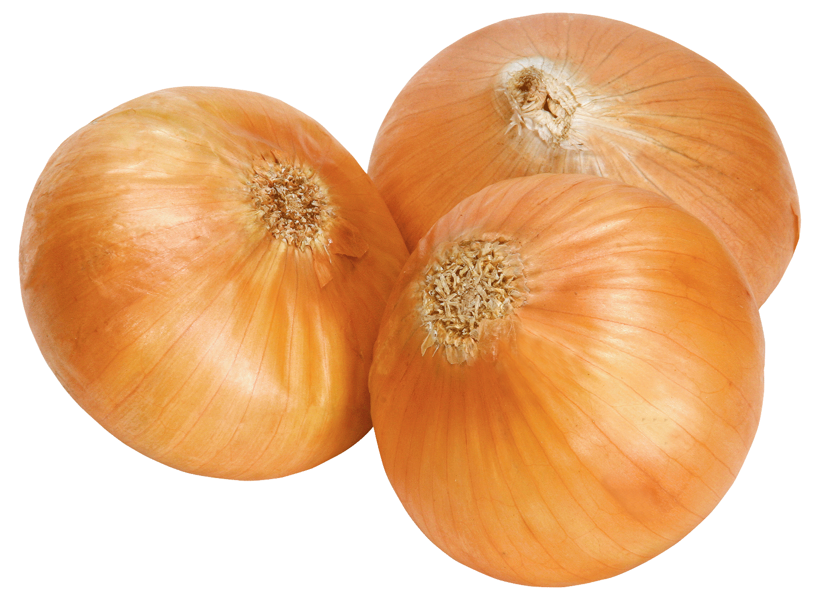 Onion Free Download Png PNG Image