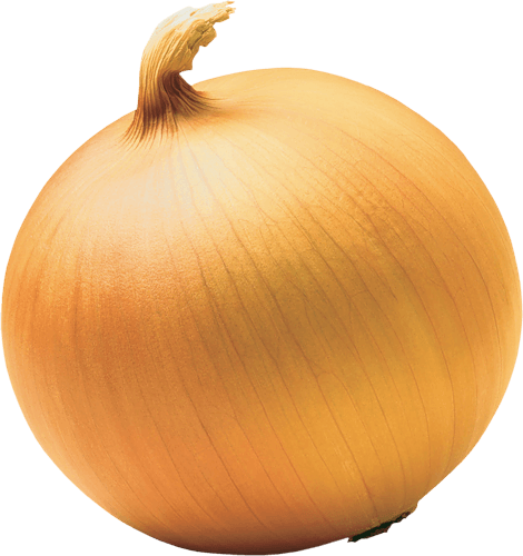 Onion Png Image Download Picture PNG Image