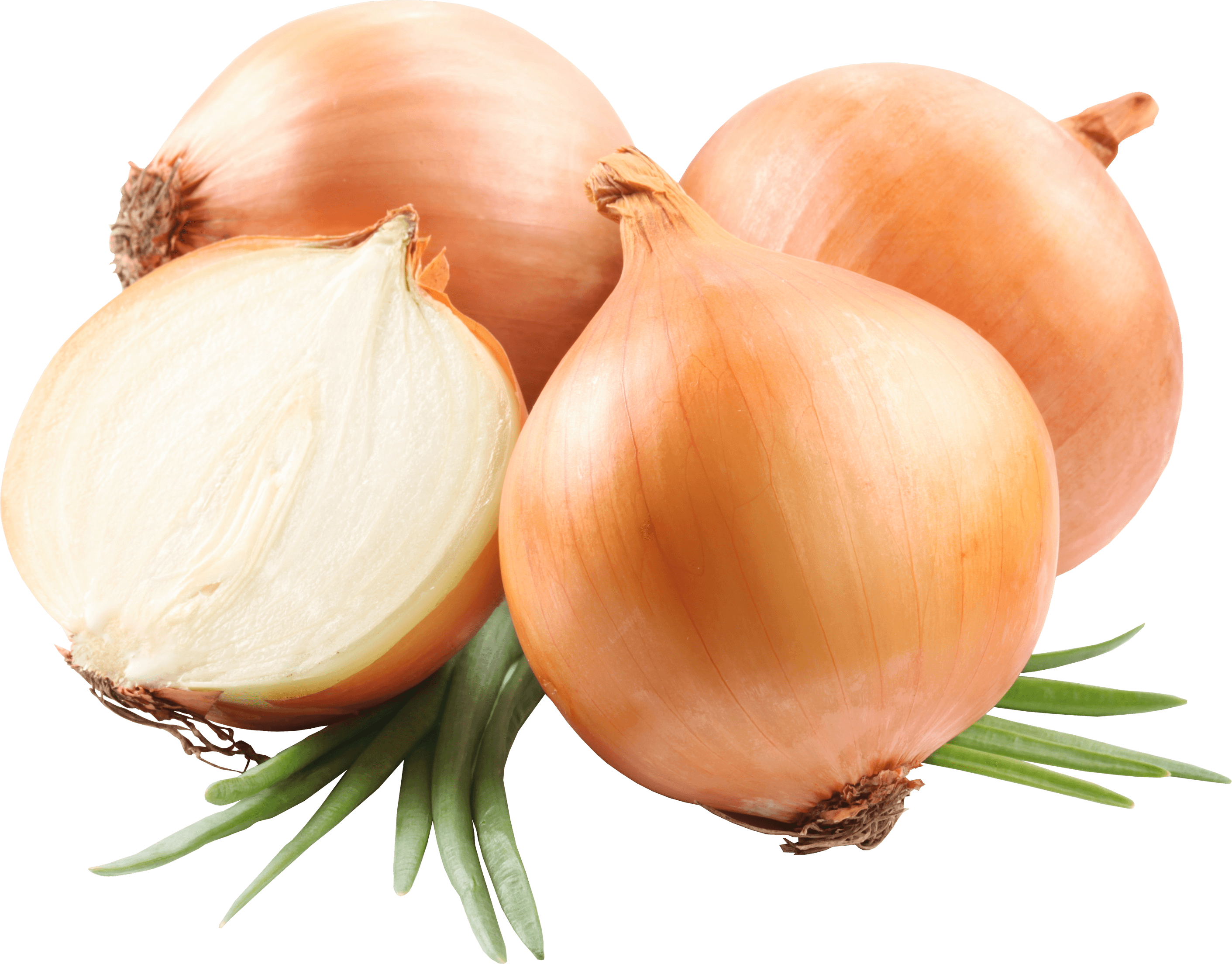 Onion Png Image Download Picture PNG Image