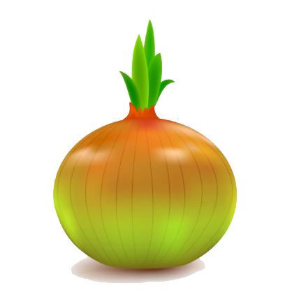 Onion Vector File PNG Image