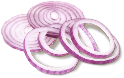 Onion Slice Transparent Image PNG Image