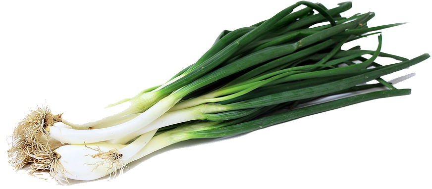 Green Onion Image PNG Image