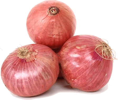 Onion Png Clipart PNG Image