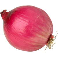 Onion Png Image PNG Image