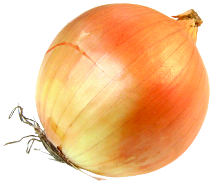 Onion Transparent PNG Image