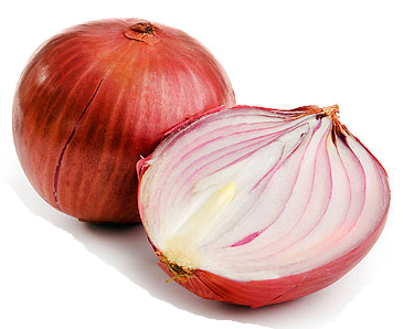 Onion Picture PNG Image