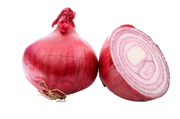 Onion Png PNG Image