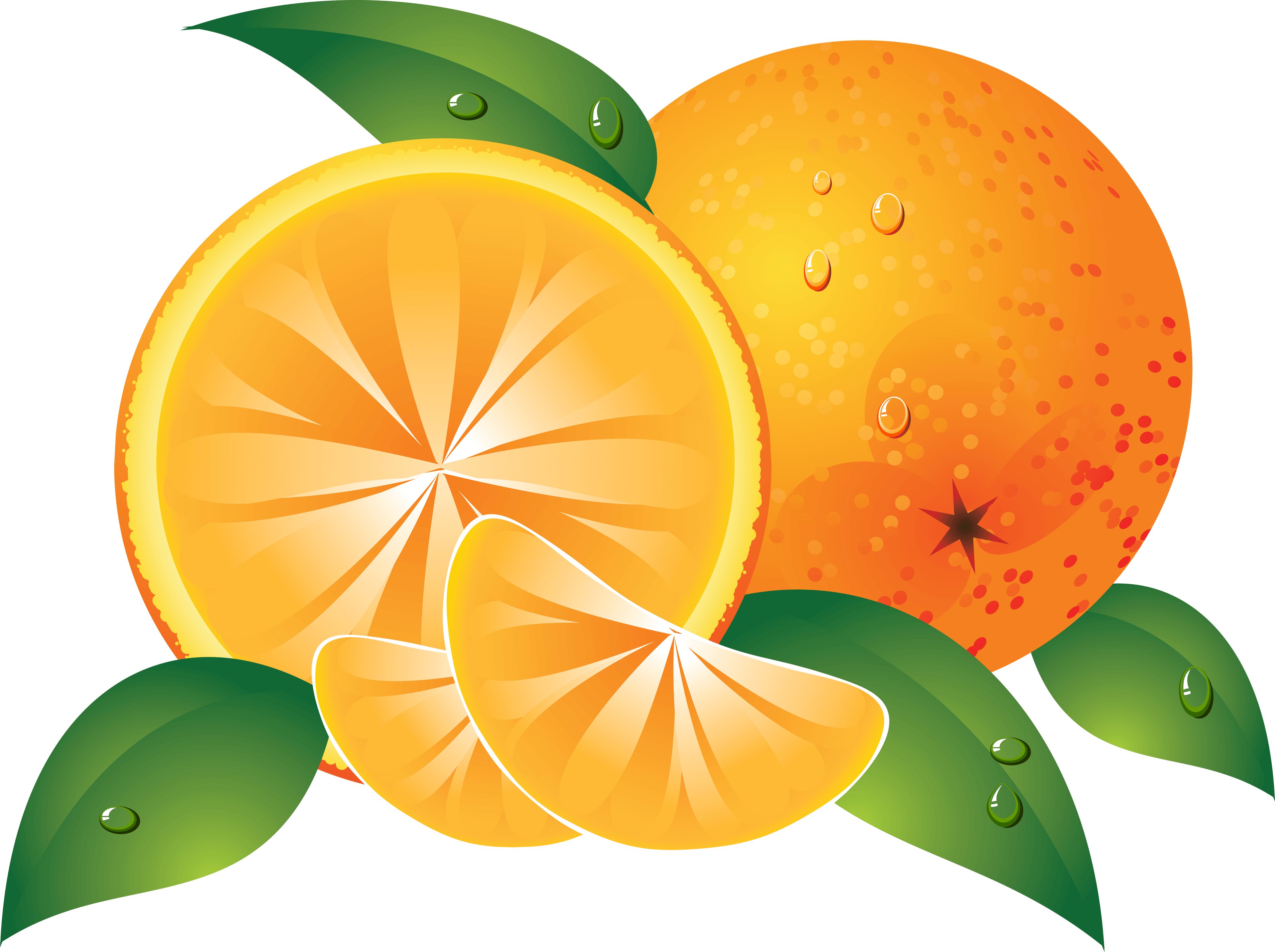 Orange Png Image Download PNG Image