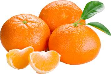 Oranges Orange Png Image Download PNG Image