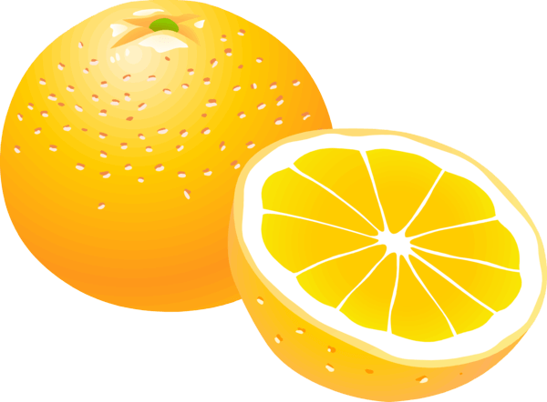 Orange Png Image Download PNG Image