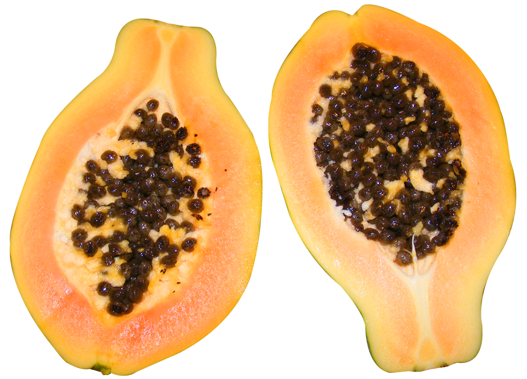 Papaya Half Download Free Image PNG Image