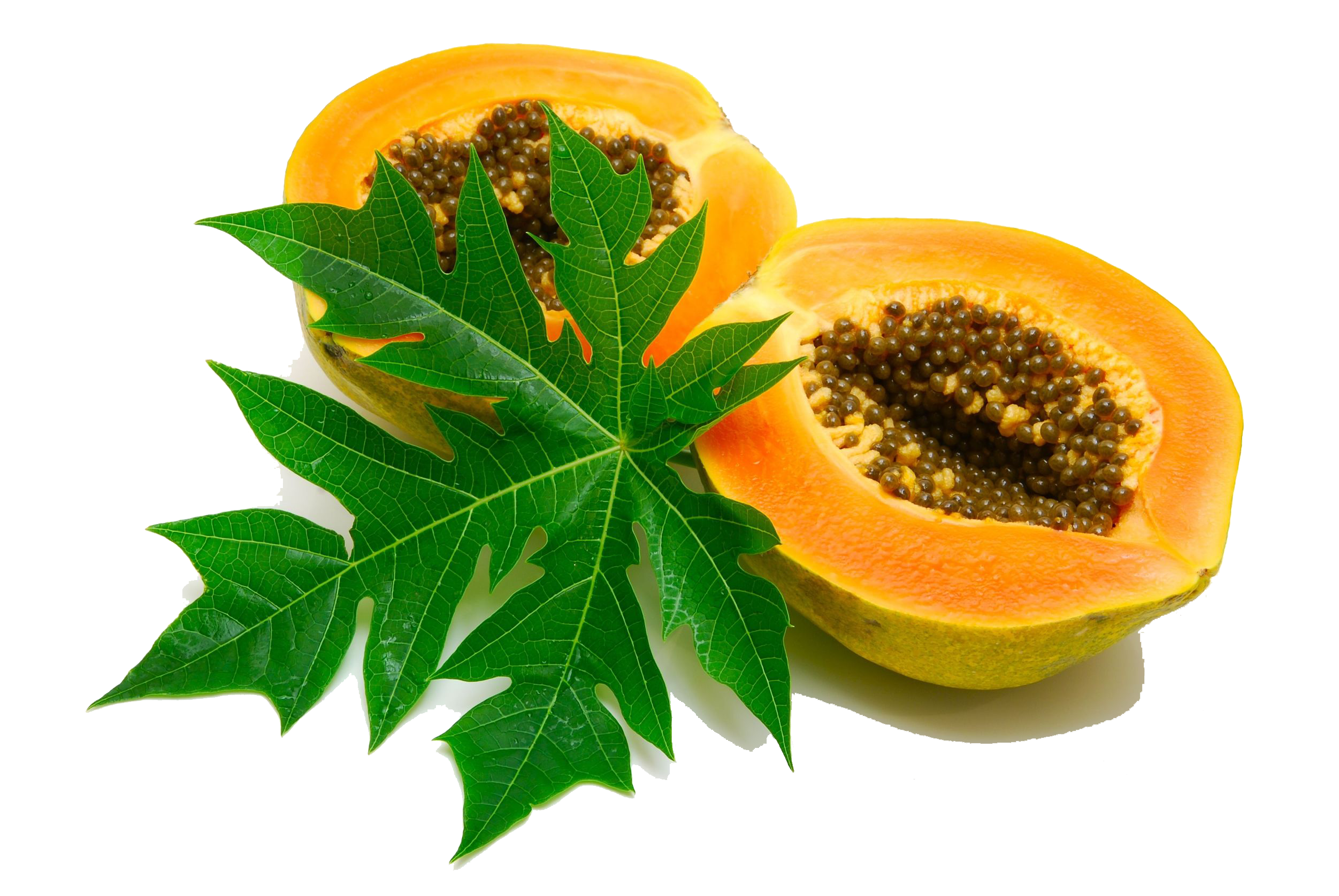 Papaya Image PNG Image