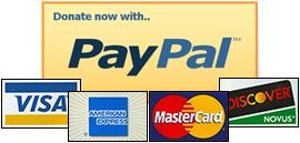 Paypal Donate Button Free Png Image PNG Image