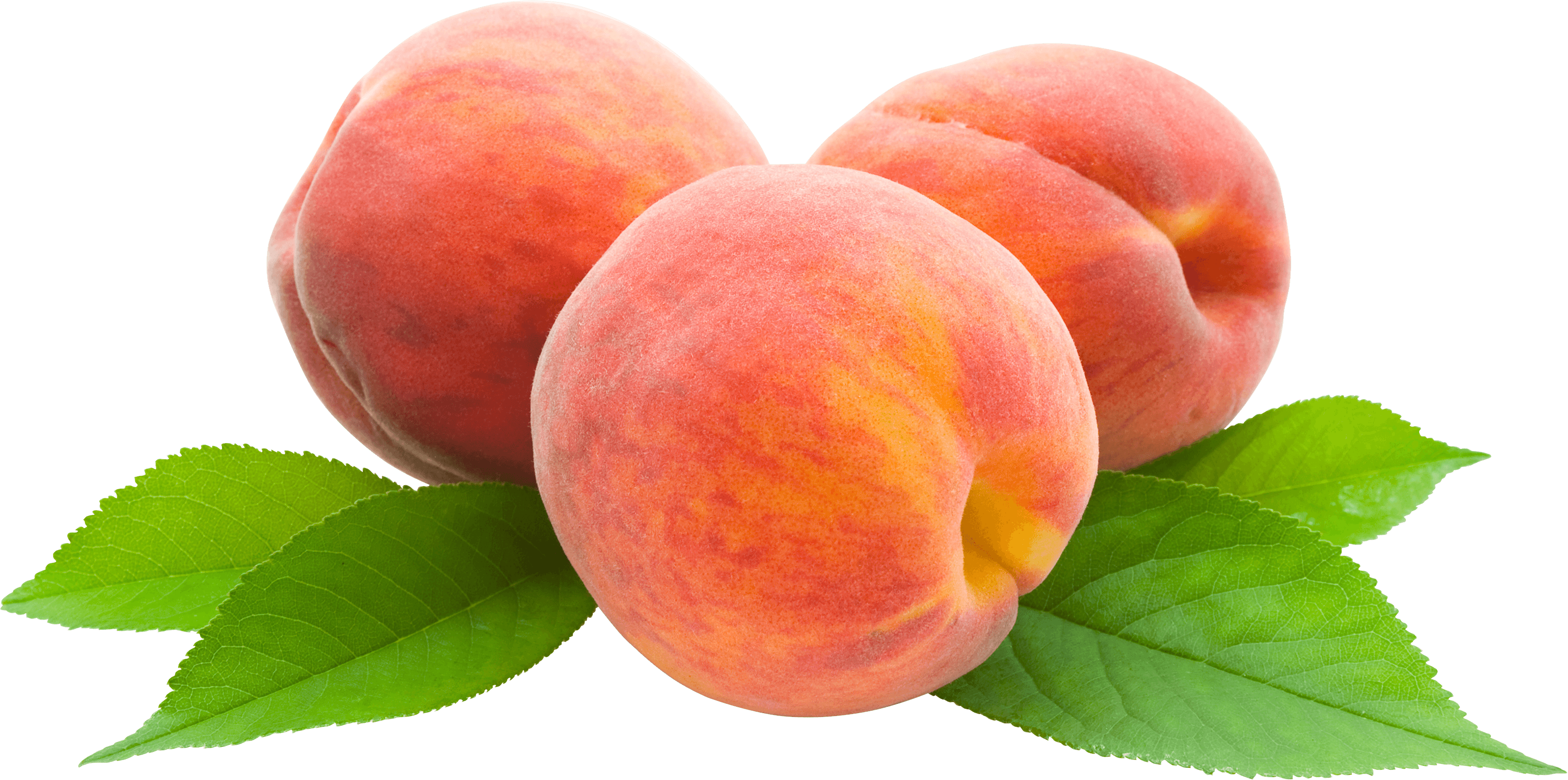 Peach Png Image PNG Image