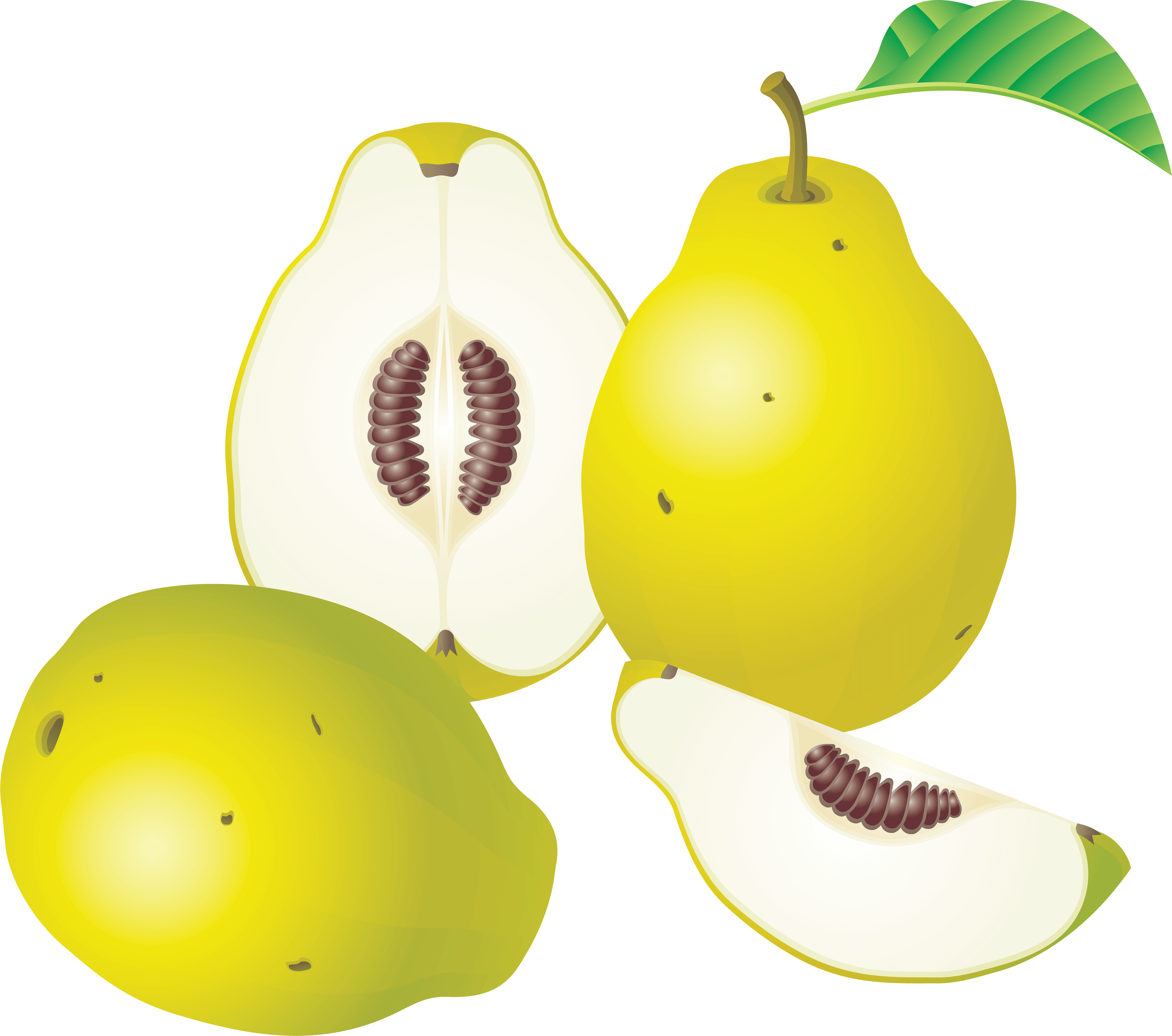 Pear Png Image PNG Image