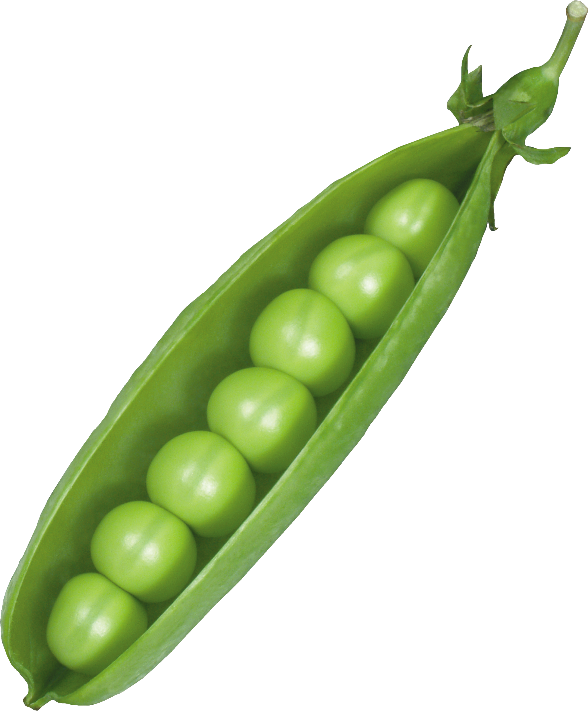 Fresh Green Pea Photos Download HD PNG Image