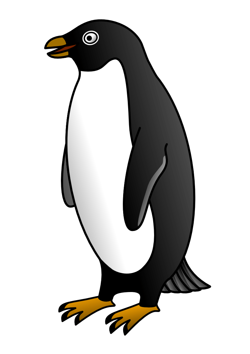 Penguin Png Image PNG Image