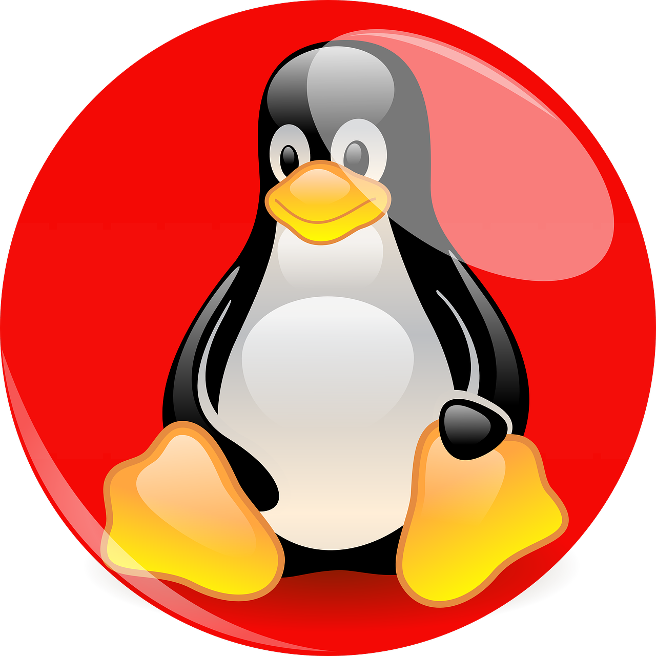 Tux Enterprise Linux Hat Red Penguin PNG Image