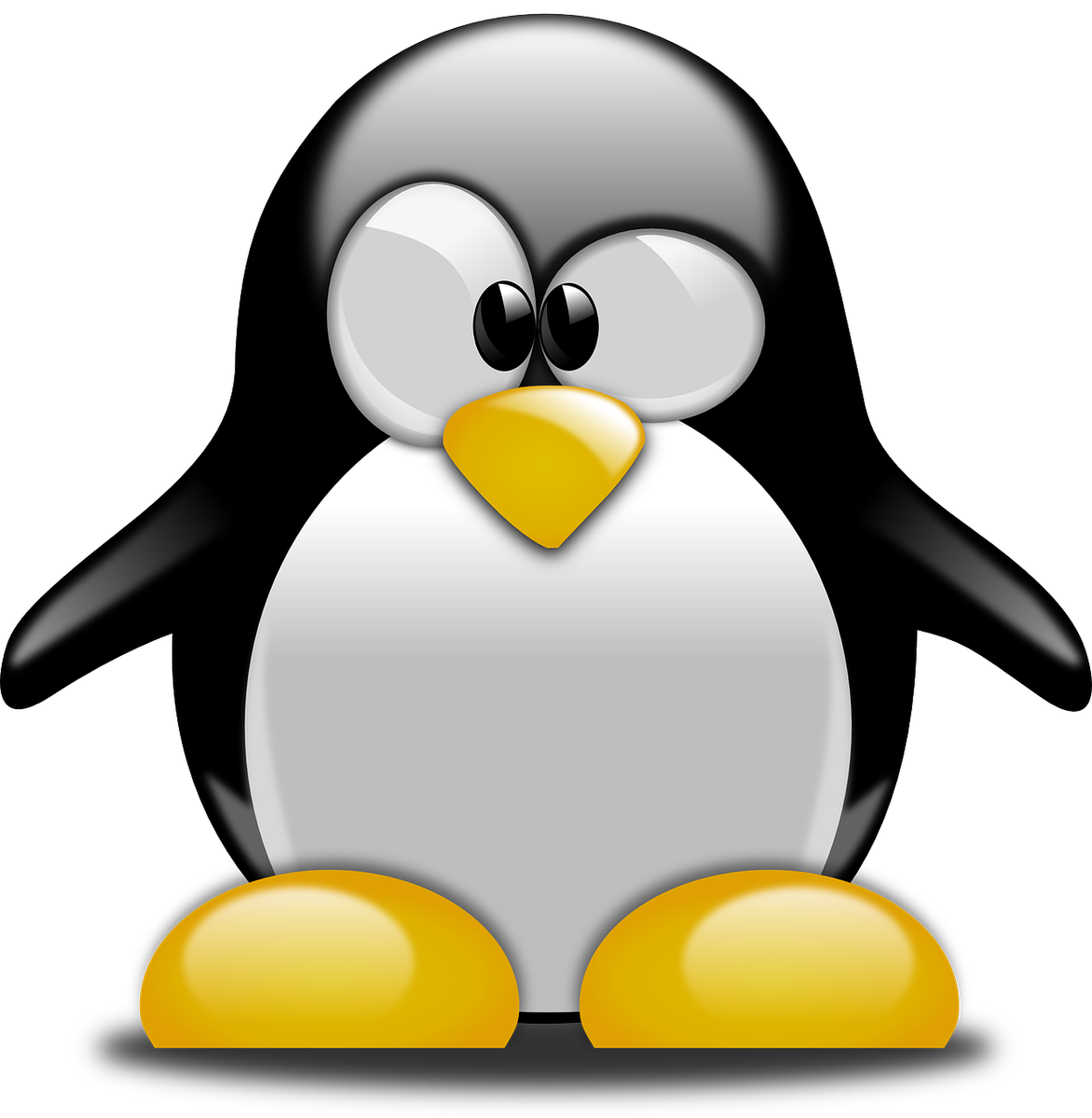 Tux Racer Linux Penguin Free PNG HQ PNG Image