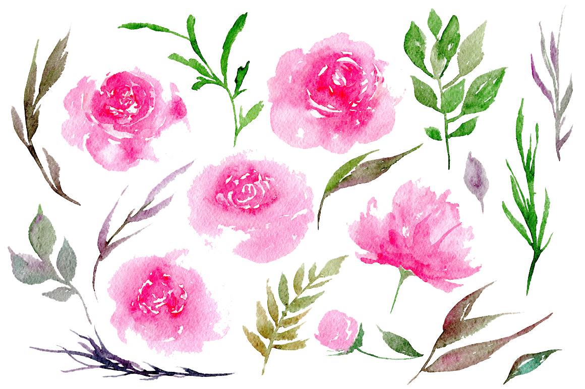 Peonies Clipart PNG Image