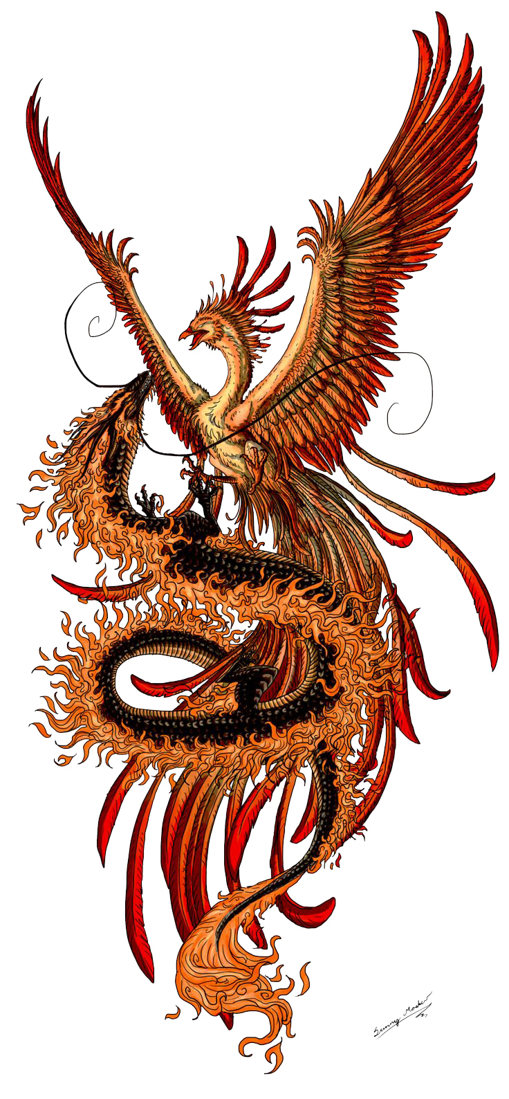 Phoenix Tattoos Picture PNG Image