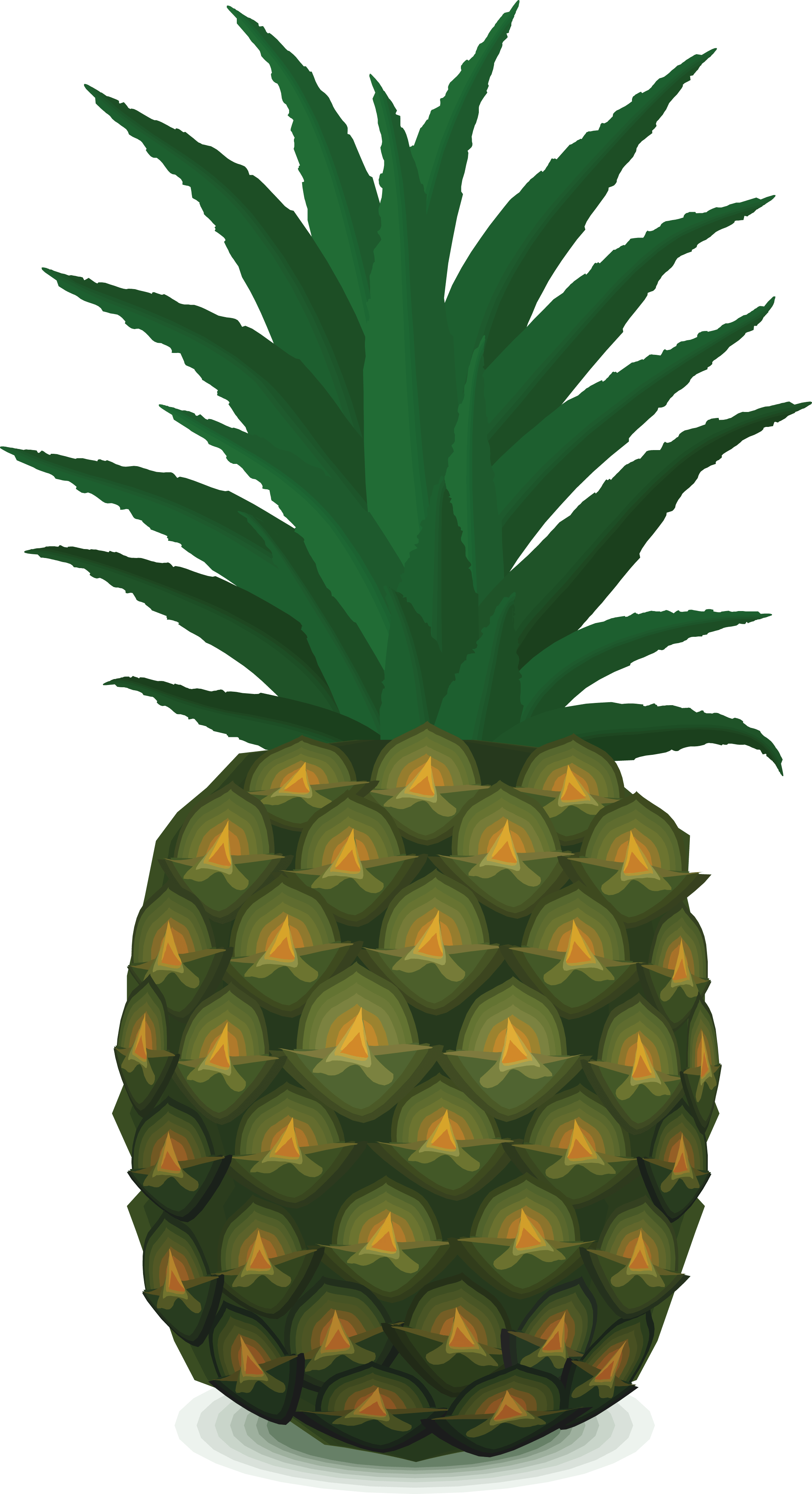 Pineapple Png Image Download PNG Image