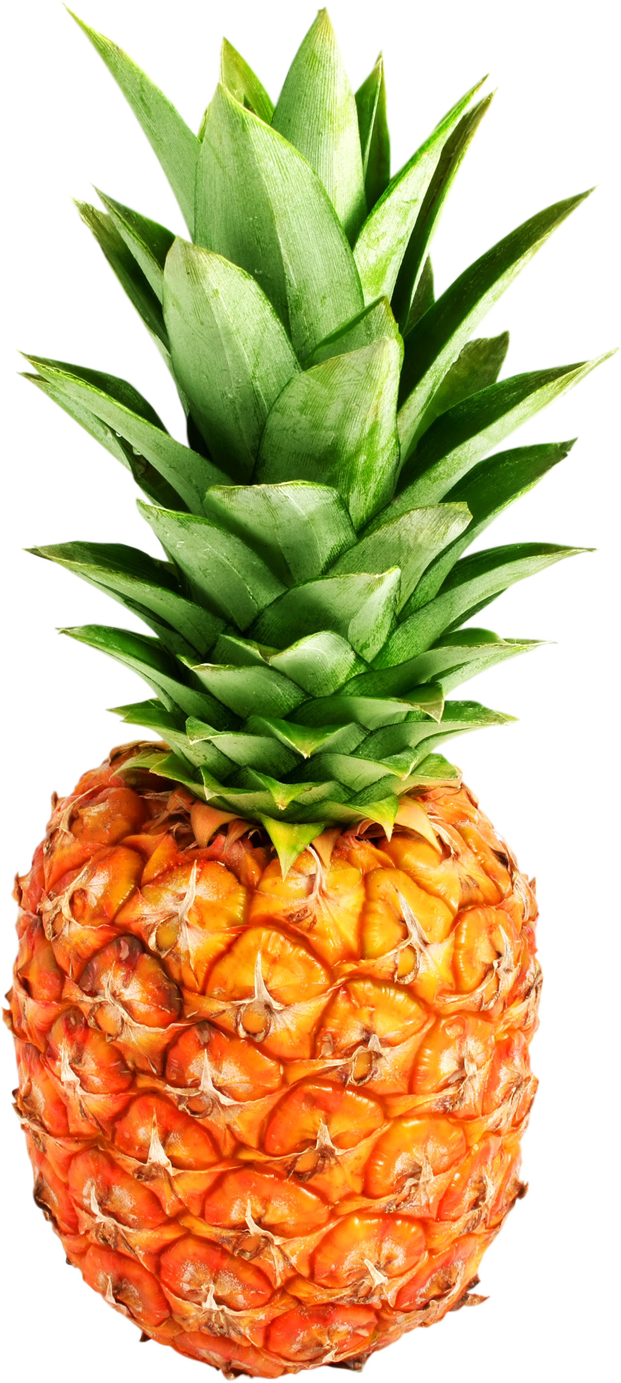 Pineapple Png Clipart PNG Image