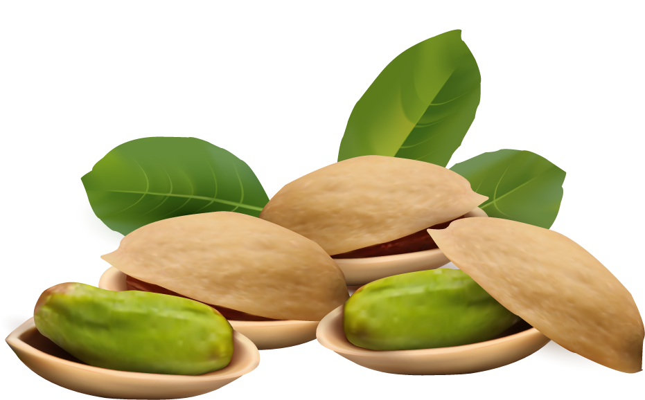 Pistachio Png File PNG Image