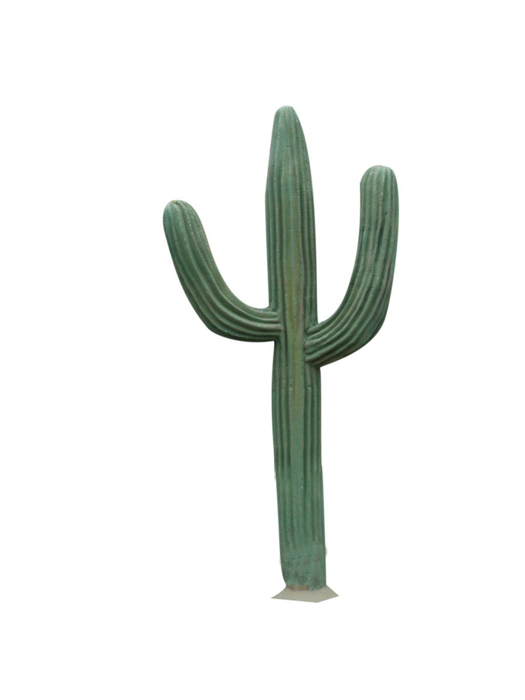 Cactus PNG Image