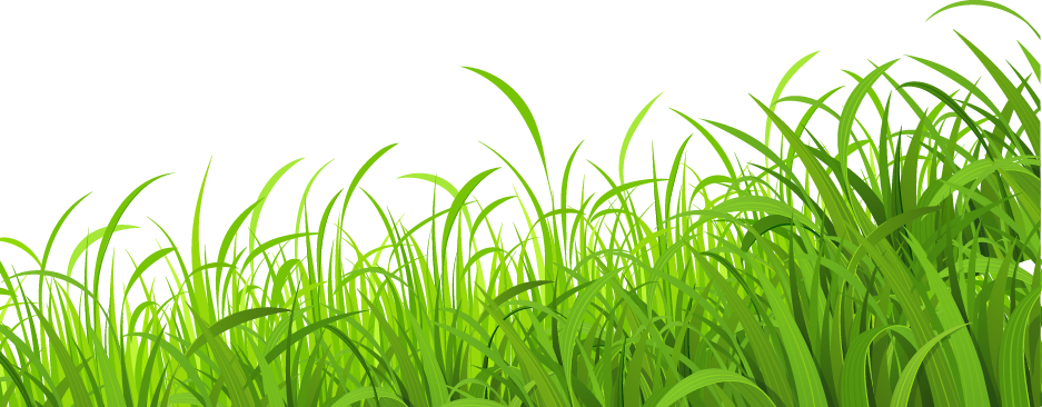Fresh Lawn Wallpaper Grass Meadow Download HD PNG PNG Image