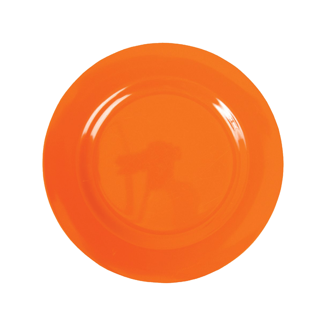 Ornage Plate Dish Png Image PNG Image