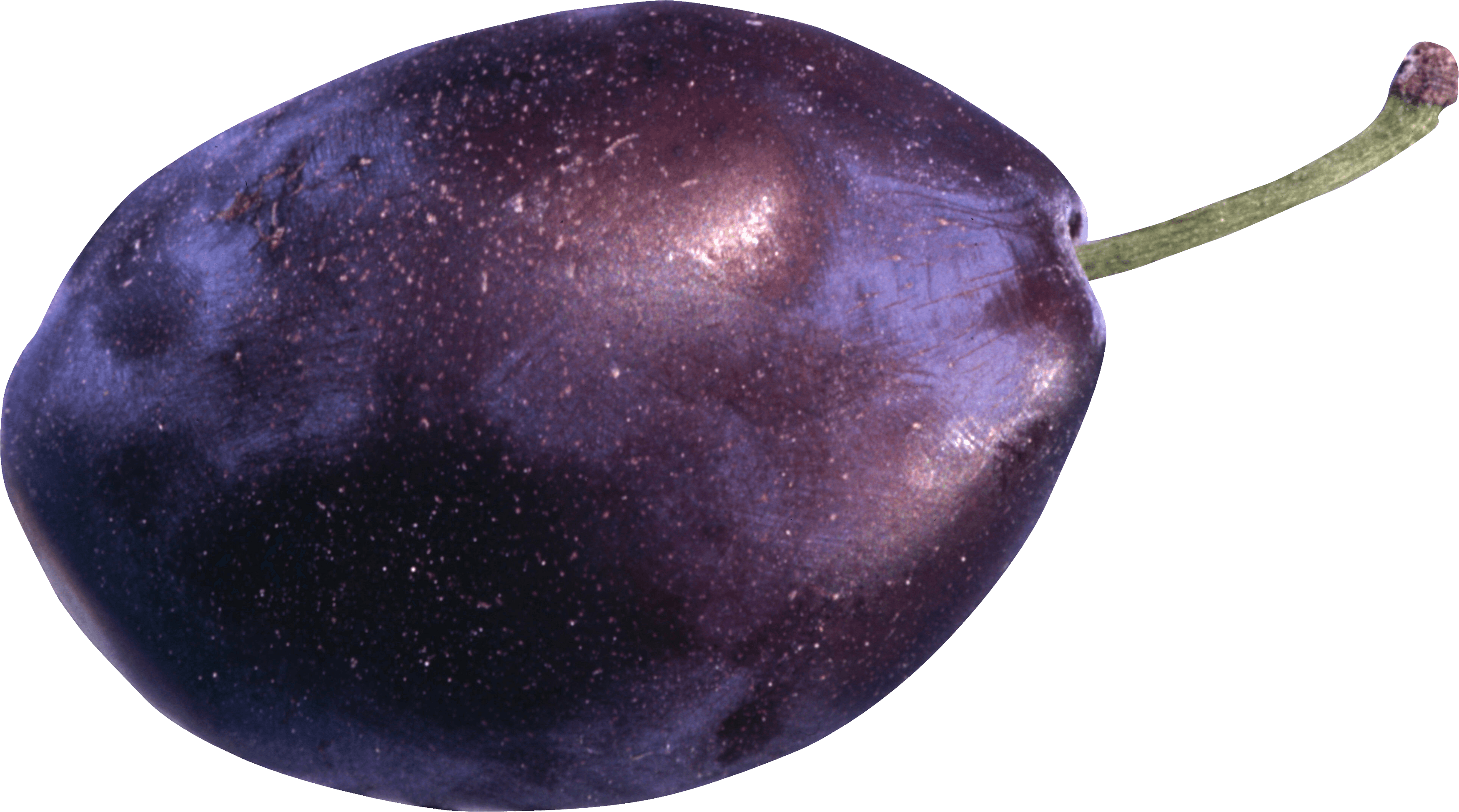 Plum Png Image PNG Image