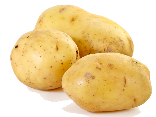 Potato Clipart PNG Image