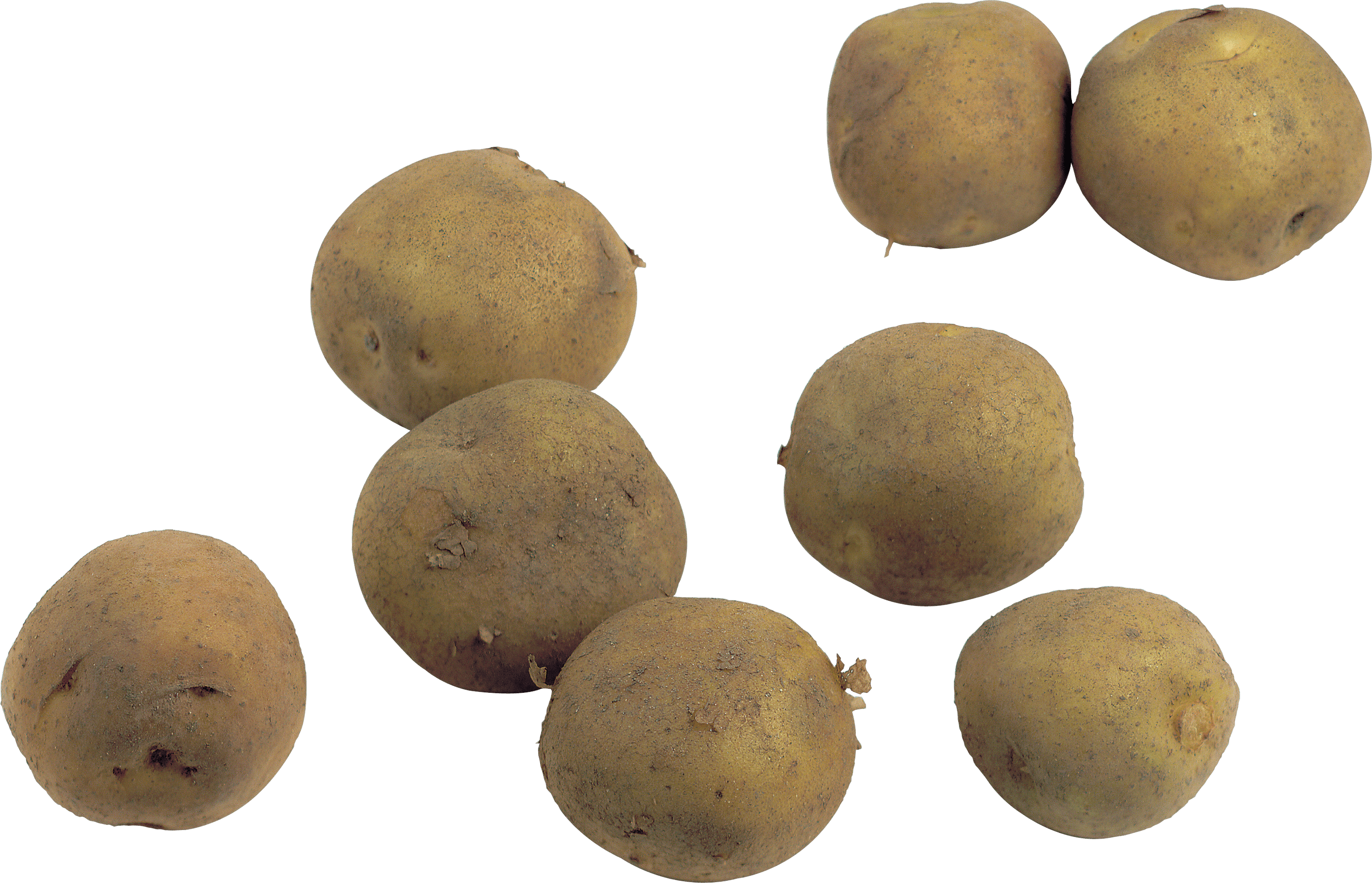 Potato Png Images PNG Image