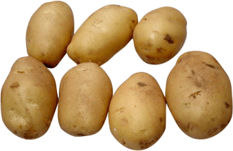 Potato Png Images Pictures Download PNG Image
