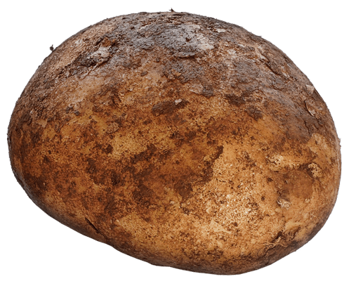 Potato Png Images Pictures Download PNG Image