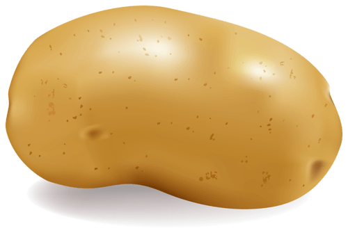 Potato Png Images Pictures Download PNG Image