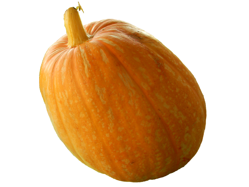 Real Pumpkin Transparent Image PNG Image