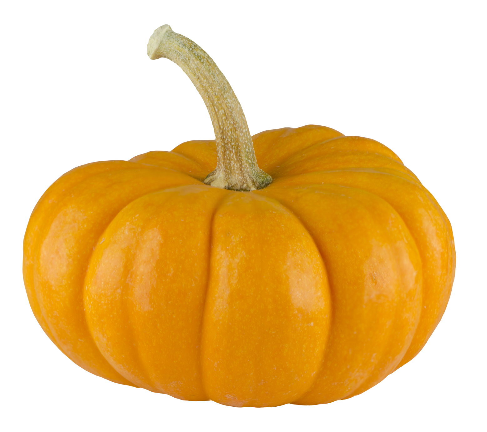 Real Pumpkin Transparent Background PNG Image