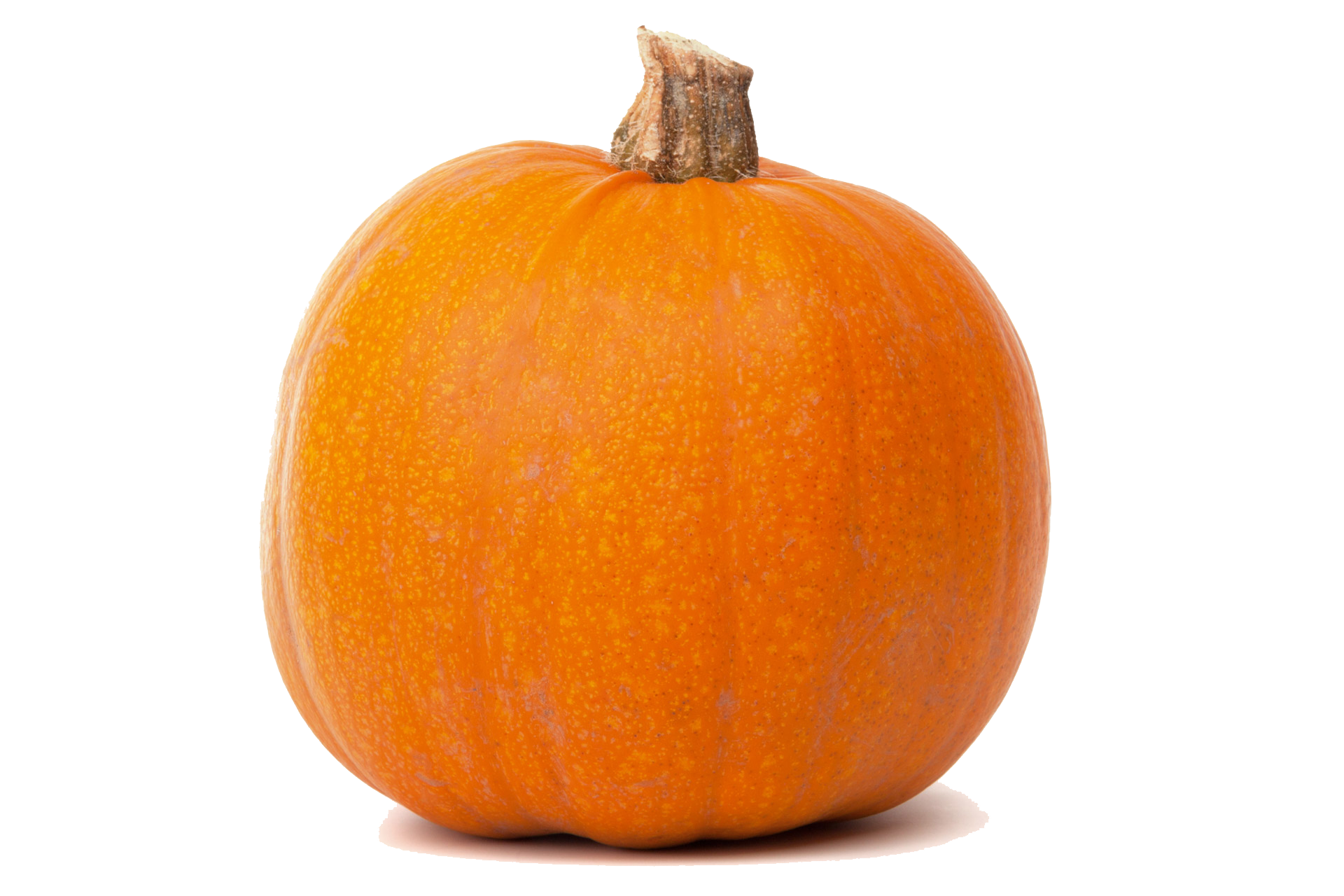 Real Pumpkin Transparent PNG Image