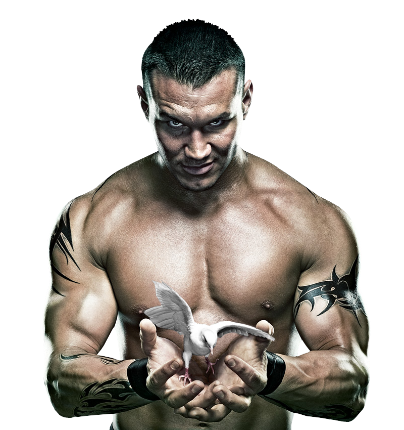 Download Randy Orton Png Clipart HQ PNG Image FreePNGImg